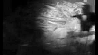 BLANK "persistence" music video