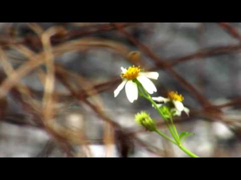 Infinity Pictures Presents - Paulo Prietto In Taiwan