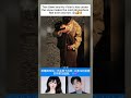 Hu Yitian and Tian Xiwei’s kiss under the snow makes the atmosphere feel warm#tianxiwei#huyitian