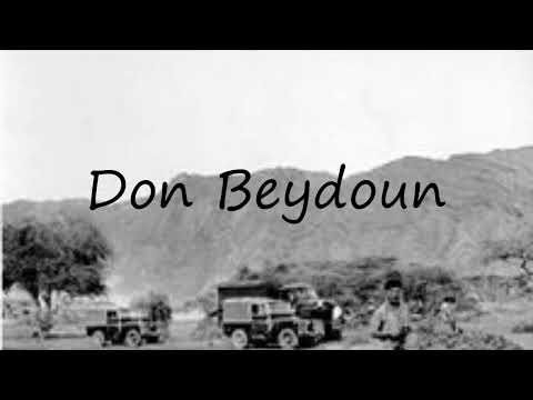How to pronounce Don Beydoun in English?