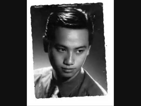 Chờ người - Tình bơ vơ - Lam Phương | Nhạc Trước 1975