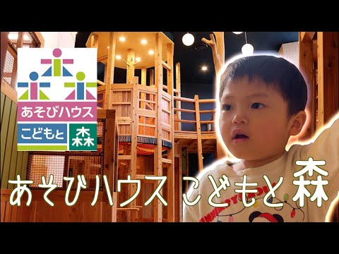 トレリス-ティピ-ガーデン-DIY-クライミング-サポート