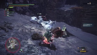MHW