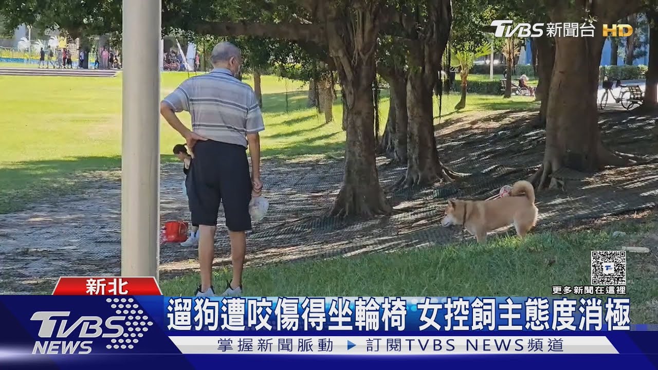 獨／公園狗狗衝突！女為阻止遭咬傷得坐輪椅　控飼主態度消極互告