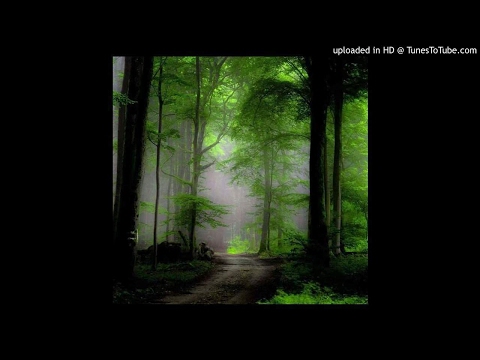 Mušrici od prije i danas 3. dio