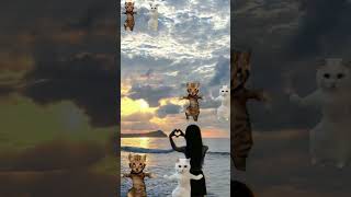 Download lagu #cute #cutebabydoll #cutebaby #cutecat #cat #bhoot_wala_cartoon #bhoot #bhootwalacartoon mp3