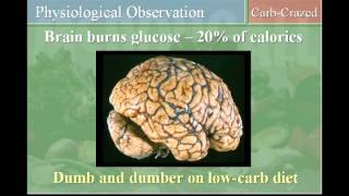 Dr.McDougall- Fighting the Big Fat Lies with Fad-Free Truth, Chapter Eight- Low-Carb Hysteria.