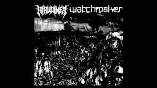 Hirudinea/Watchmaker (Full Split)