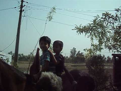 Aakarsh & Ekagra At Horse