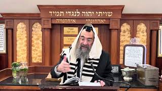 החידוש של הרשב״א בדיני קדימה בברכות (הרב יצחק ישראלי) - התמונה מוצגת ישירות מתוך אתר האינטרנט יוטיוב. זכויות היוצרים בתמונה שייכות ליוצרה. קישור קרדיט למקור התוכן נמצא בתוך דף הסרטון
