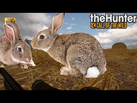 Steam Community :: Video :: THEHUNTER COTW #107 LIÈVRE D'EUROPE ...