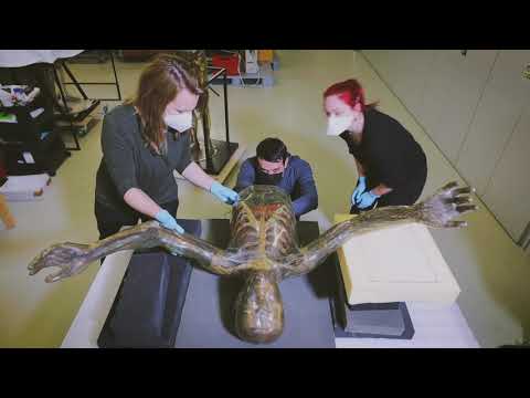 Ein "Gläserner Mann" von 1935: Blick in das Sammlungsdepot des Deutschen Hygiene-Museums