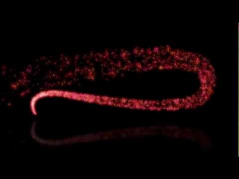 Happy Birthday From Allo and Friends.com