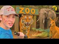 Ich Habe Einen Verlassenen Zoo Gefunden