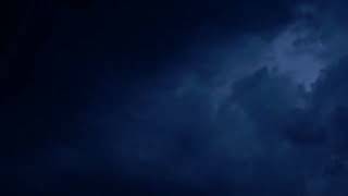 Carnivore The Break Down Of Male Supremacy