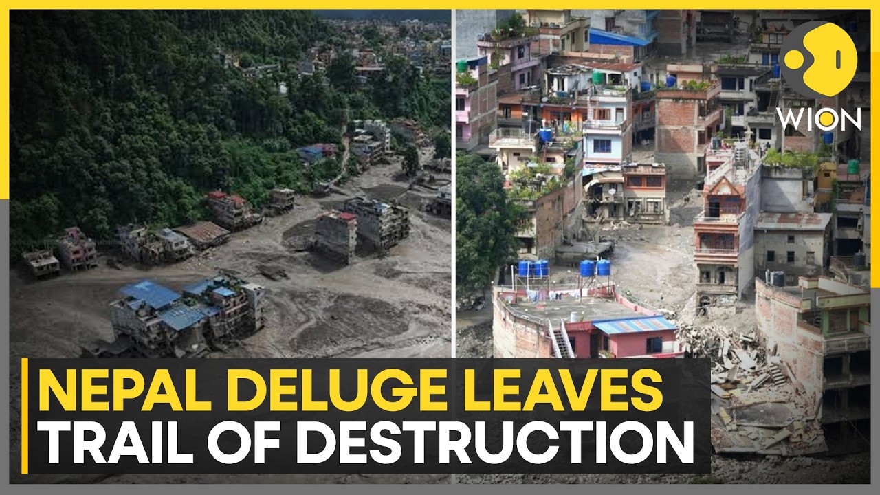 Nepal Floods: Massive Flood Wave Sweeps Through Rasuwa, Nuwakot, Dhading | WION News