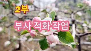 (2부) 부사 적화 작업