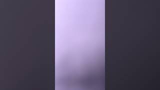 ALTO, The First Nowell, Wilcocks