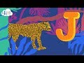 Learn The Alphabet Letter J Kids Academy