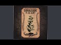 Carolyn Mark - Pink Moon & All The Ladies