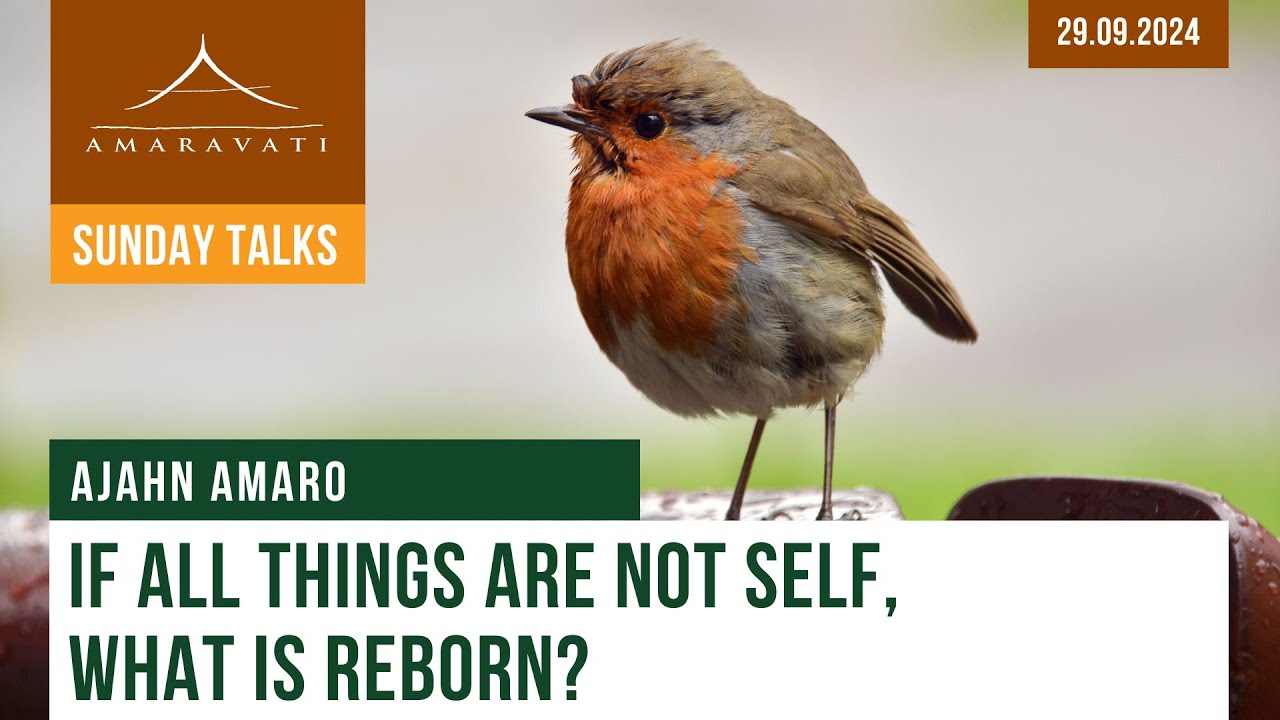 If All Things Are Not Self, What Is Reborn? | Ajahn Amaro | 29.09.2024