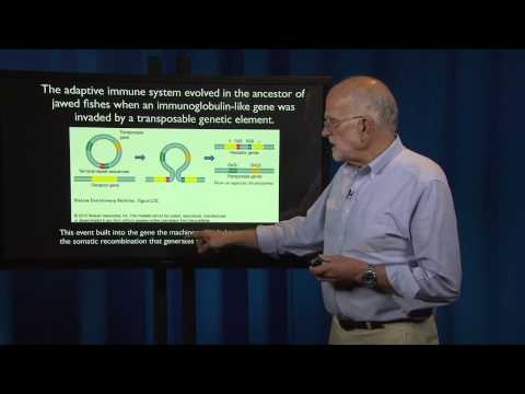 What is a Patient? Ancient History