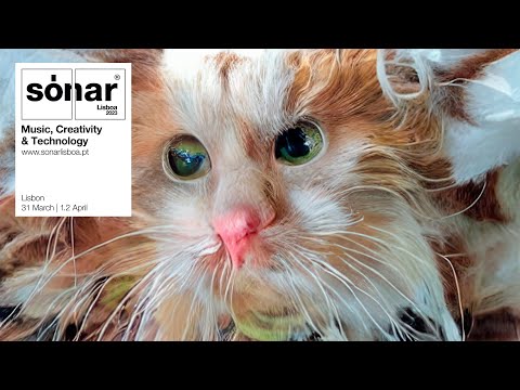 video frame placeholder