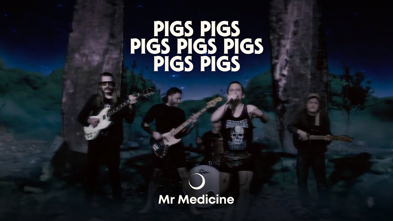 Pigs Pigs Pigs Pigs Pigs Pigs Pigs â€“ Mr Medicine (Official Video) - YouTube