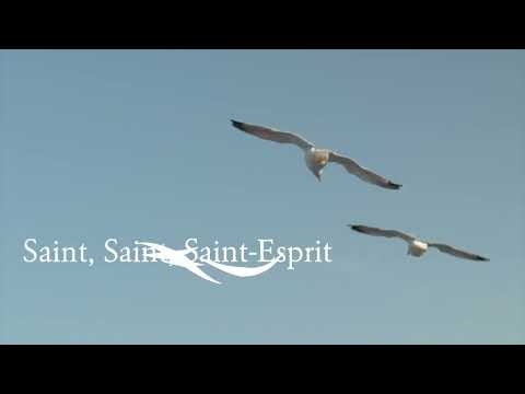 Flot sur Flot -Roberlie Laure