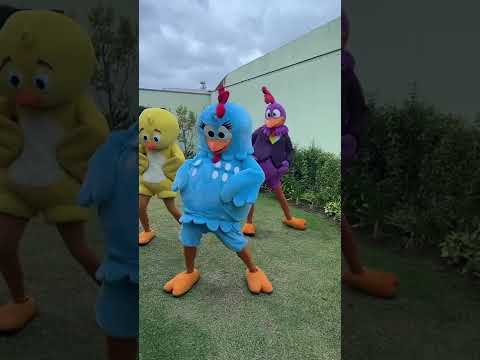 Sextou com dancinha! - Galinha Pintadinha #shorts