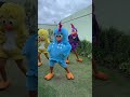 Sextou Com Dancinha Galinha Pintadinha Shorts