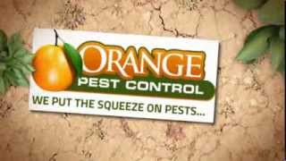 preview picture of video 'Pest Control Palm Bay FL'