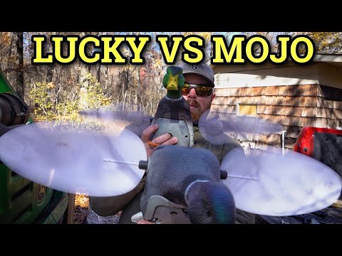 Mojo Vs Lucky (Lucky Duck Spinner HDI Unboxing!!)