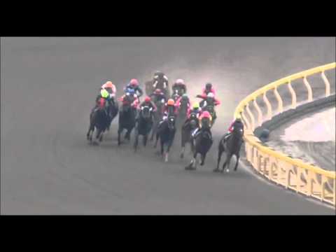 Furioso - G1 February Stakes 2011 (2nd)
