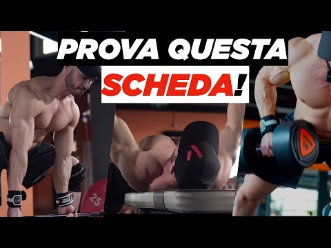 SCHEDA MASSA: push-pull-legs