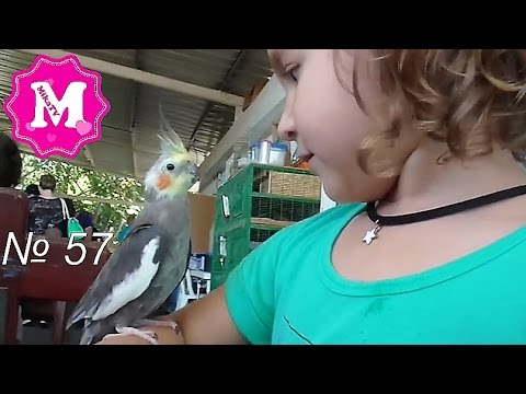 Микаэлла на ферме ласкает змею , кроликов , попугая , черепашек и других животных и весело проводит время !