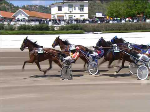 Trotto 01/05/2017 - 1ª corsa