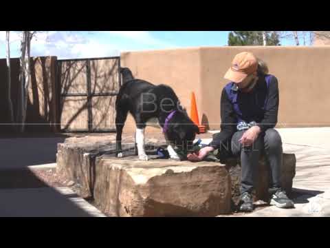 Mario, formerly Bee A161987