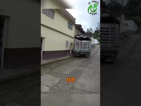 Pachavita en Boyaca.