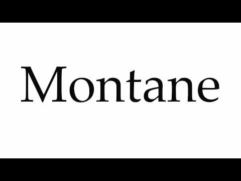 How to Pronounce Montane