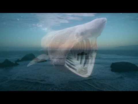 What is the Sign of Jonah?