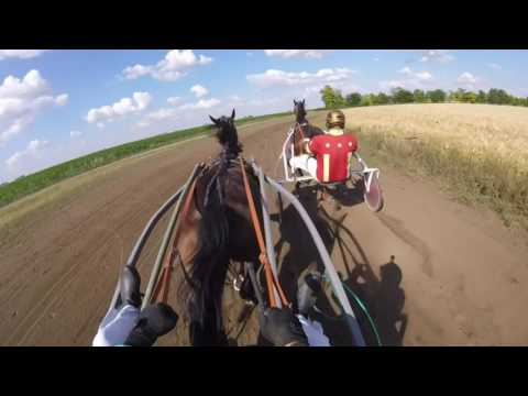 KK ČANTAVIR 11.06.2017. TRKA 251- 1000 bod.