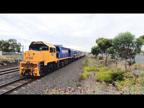 PACIFIC NATIONAL Light Engines At Laverton, X, XR, BL, G and 81 Class Locomotives!!!