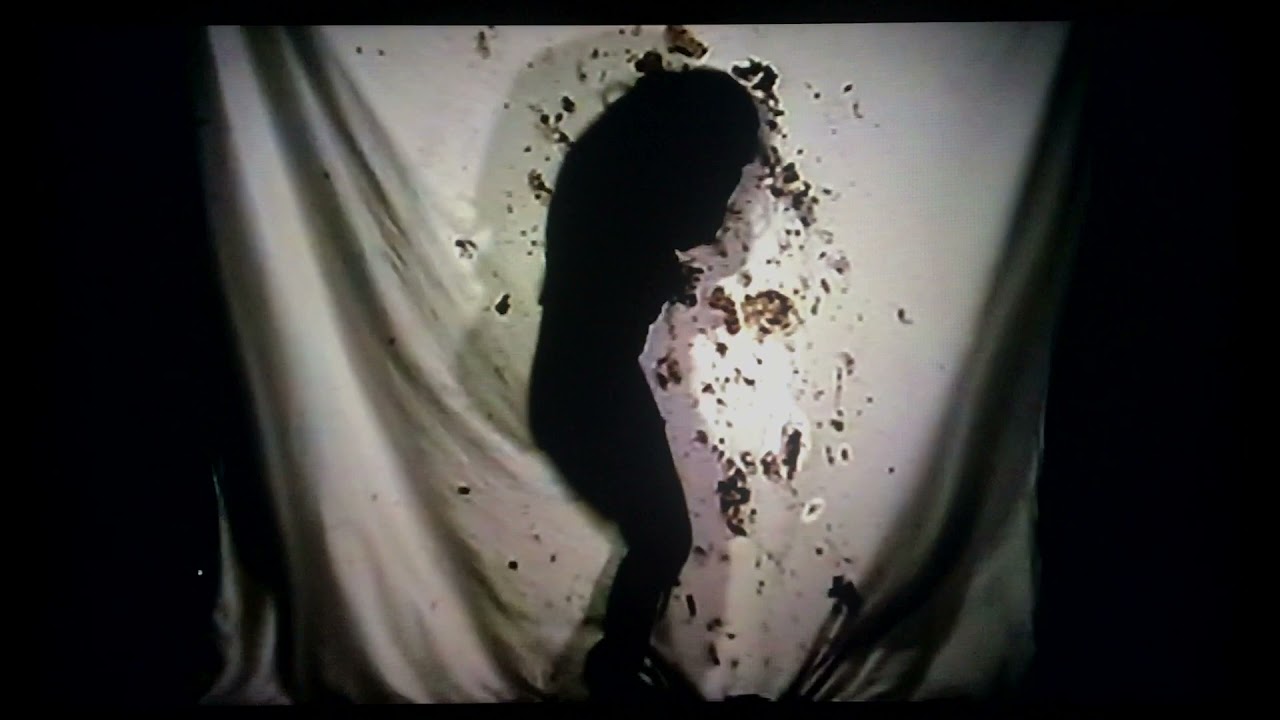 Hide