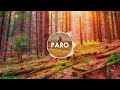 Nej Paro 8D AUDIO