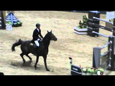 Van Gogh wins $450,000 Grand Prix at Longines Masters-Los Angeles