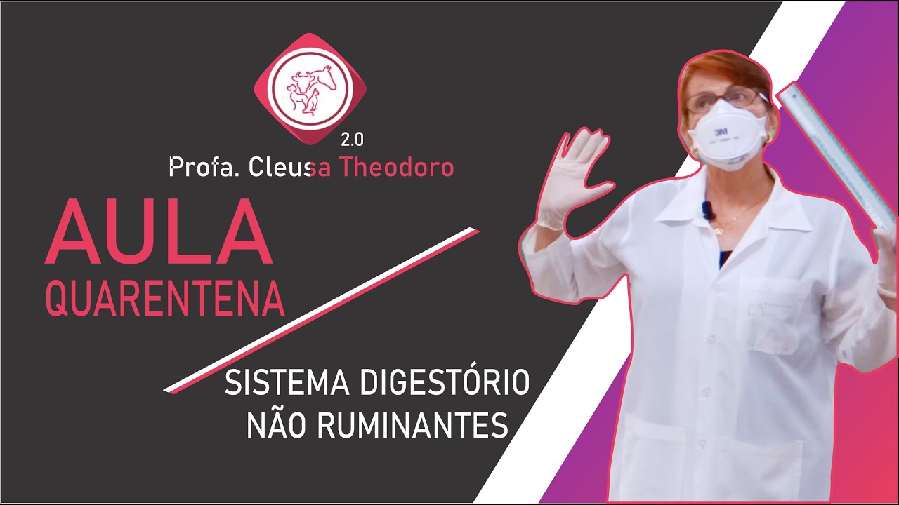 Sistema Digestório - Não Ruminantes