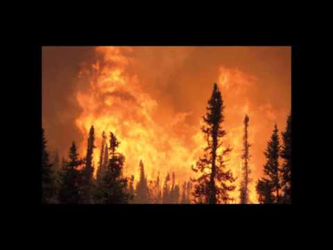 [Neurotrope 39] Cyclic Backwash - Fuel For The Fire