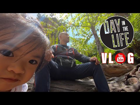 Took my daughter to Disney World | A day in the life of Master Wong