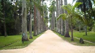 preview picture of video 'Jardim Botânico | Rio/RJ【S.RIO】'